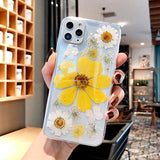 3D Real Dried Flower Clear Soft Phone Case Back Cover - iPhone 12 Pro Max/12 Pro/12/12 Mini/SE/11 Pro Max/11 Pro/11/XS Max/XR/XS/X/8 Plus/8 - halloladies