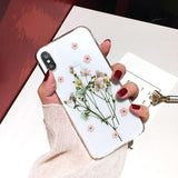 Dried Real Flower Handmade Clear Phone Case Back Cover - IPhone XS Max/XR/XS/X/8 Plus/8/7 Plus/7/6s Plus/6s/6 Plus/6 - halloladies