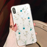 Transparent Real Dried Flower Phone Case Back Cover - iPhone 12 Pro Max/12 Pro/12/12 Mini/SE/11 Pro Max/11 Pro/11/XS Max/XR/XS/X/8 Plus/8 - halloladies