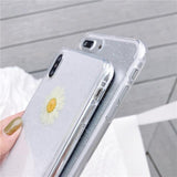 Real Daisy Dried Flowers Glitter Soft TPU Phone Case Back Cover for iPhone XS Max/XR/XS/X/8 Plus/8/7 Plus/7/6s Plus/6s/6 Plus/6 - halloladies