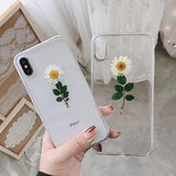 Real Flowers Dried Flowers Clear Phone Case Back Cover for iPhone 12/12pro/12pro max/12mini/11 Pro Max/11 Pro/11/XS Max/XR/XS/X/8 Plus/8/7 Plus/7/6s Plus/6s/6 Plus/6 - halloladies