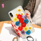 Real Dried Daisy Flower Clear Phone Case Back Cover - iPhone 11/11 Pro/11 Pro Max/XS Max/XR/XS/X/8 Plus/8/7 Plus/7 - halloladies