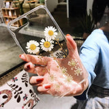 Glitter Real Dried Flowers Transparent Soft TPU Phone Case Back Cover - iPhone 12 Pro Max/12 Pro/12/12 Mini/SE/11 Pro Max/11 Pro/11/XS Max/XR/XS/X/8 Plus/8 - halloladies