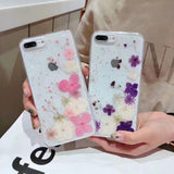 Real Dried Flower Transparent Phone Case Back Cover - iPhone 11 Pro Max/11 Pro/11/XS Max/XR/XS/X/8 Plus/8/7 Plus/7/6s Plus/6s/6 Plus/6 - halloladies