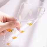 Simple Carrot Orange Cactus Print Transparent Soft Phone Case Back Cover - iPhone 11/11 Pro/11 Pro Max/XS Max/XR/XS/X/8 Plus/8/7 Plus/7 - halloladies