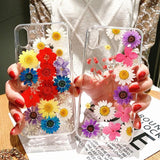 Real Dried Daisy Flower Clear Phone Case Back Cover - iPhone 11/11 Pro/11 Pro Max/XS Max/XR/XS/X/8 Plus/8/7 Plus/7 - halloladies