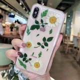 Real Dried Daisy Flower Leaf Clear Phone Case Back Cover for iPhone 11/11 Pro/11 Pro Max/XS Max/XR/XS/X/8 Plus/8/7 Plus/7 - halloladies