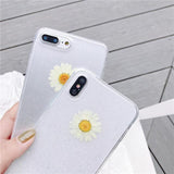 Real Daisy Dried Flowers Glitter Soft TPU Phone Case Back Cover for iPhone XS Max/XR/XS/X/8 Plus/8/7 Plus/7/6s Plus/6s/6 Plus/6 - halloladies